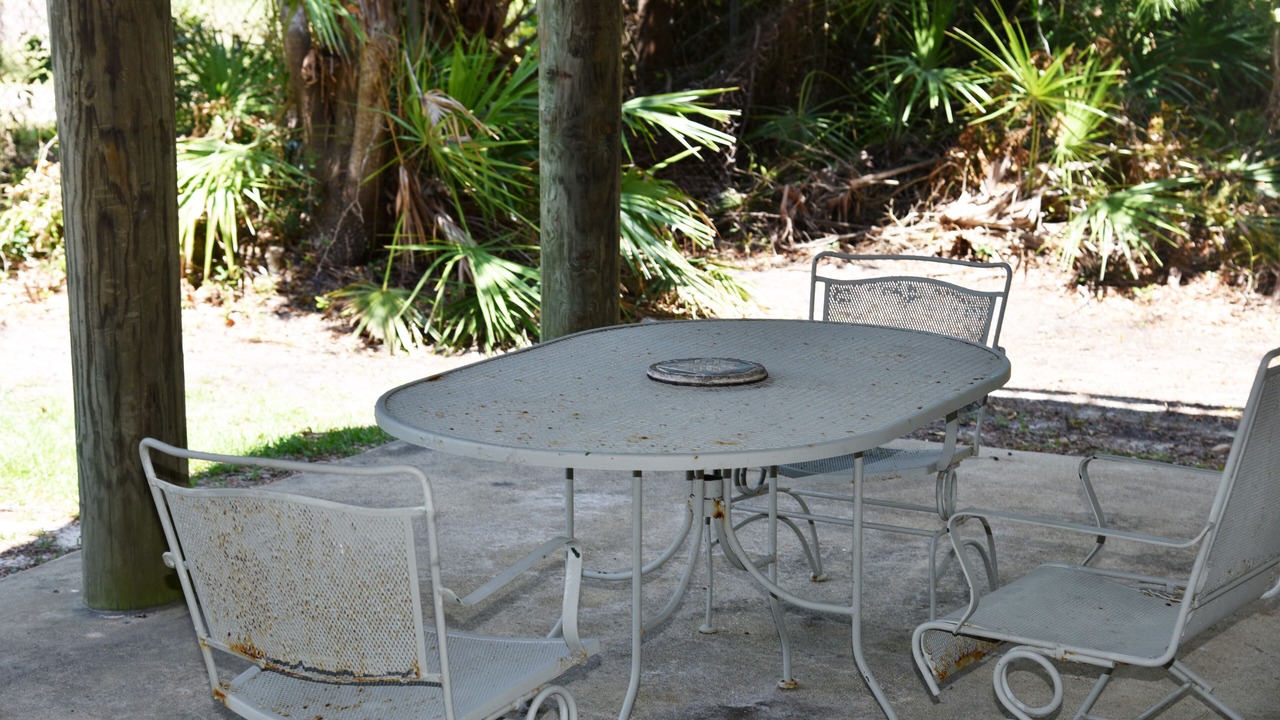 Photo of Outdoor in Dauphin Island