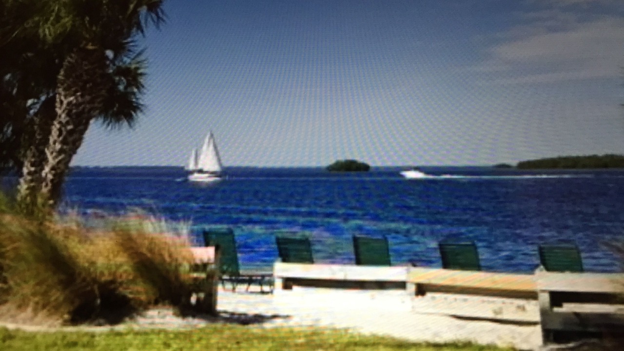 Photo of Others in Punta Rassa