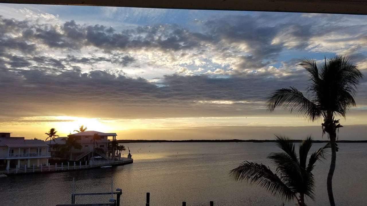 Photo of Others in Largo Sound Village