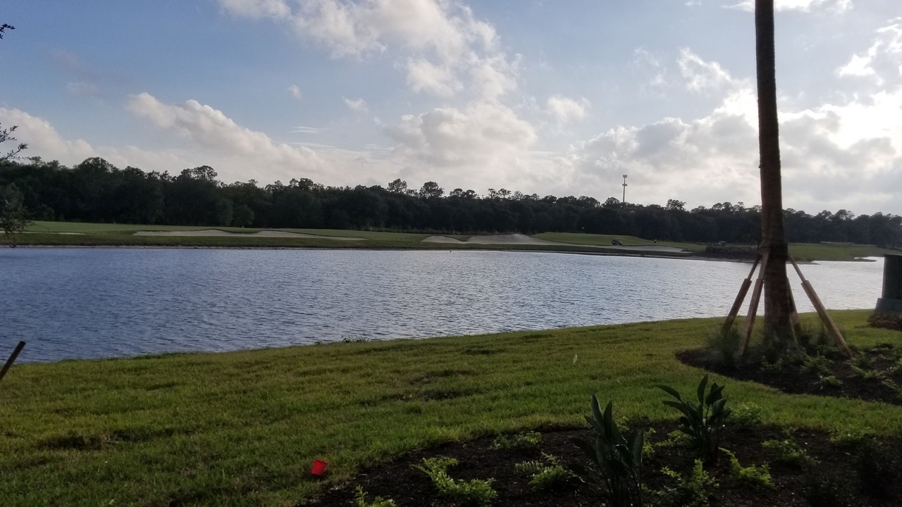 Photo of Outdoor in Braden River