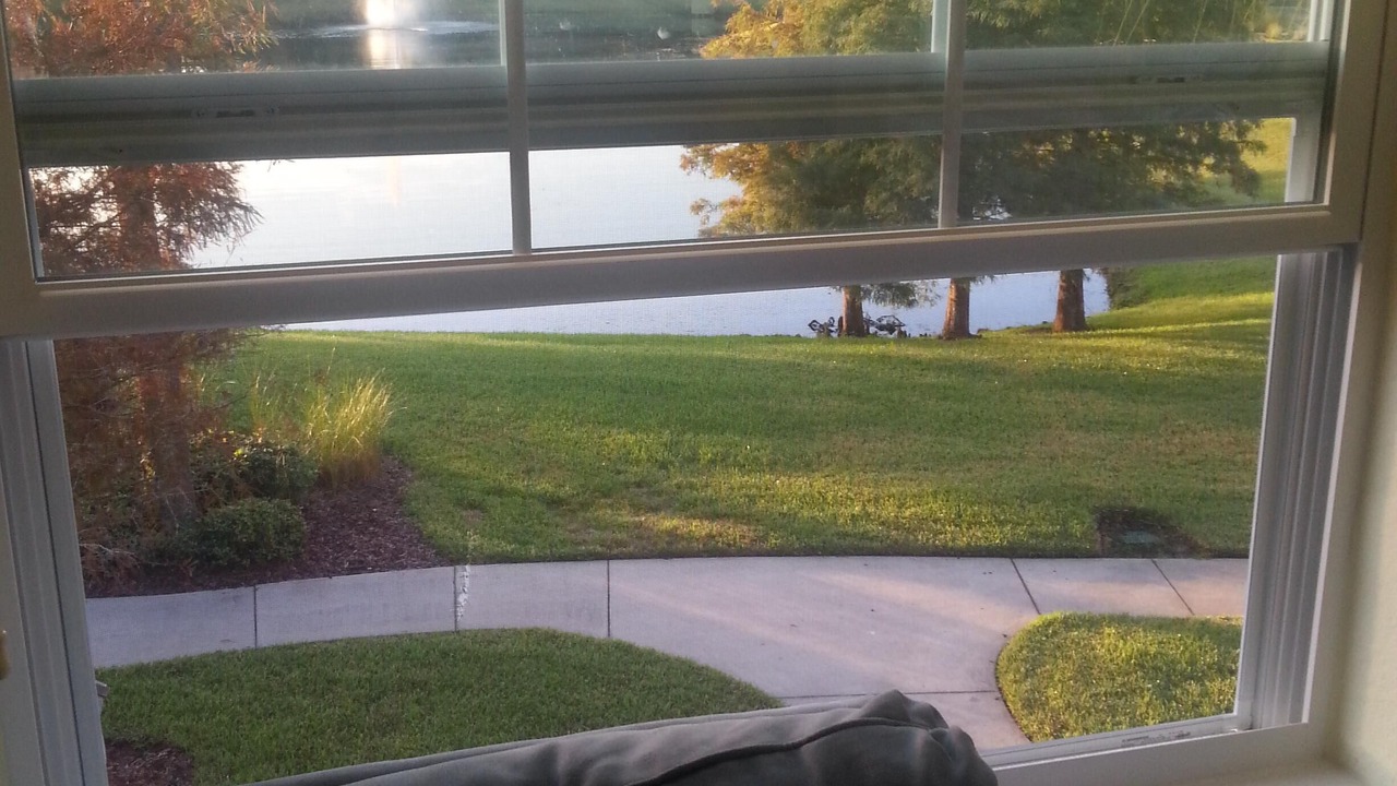 Photo of Others in Kissimmee