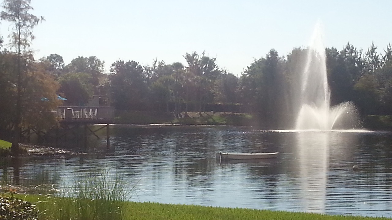 Photo of Others in Kissimmee