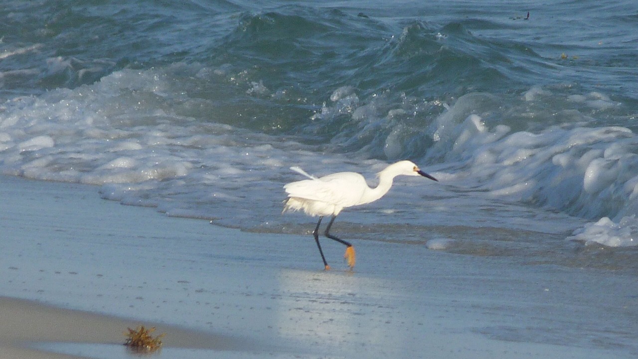 Photo of Others in Riviera Beach