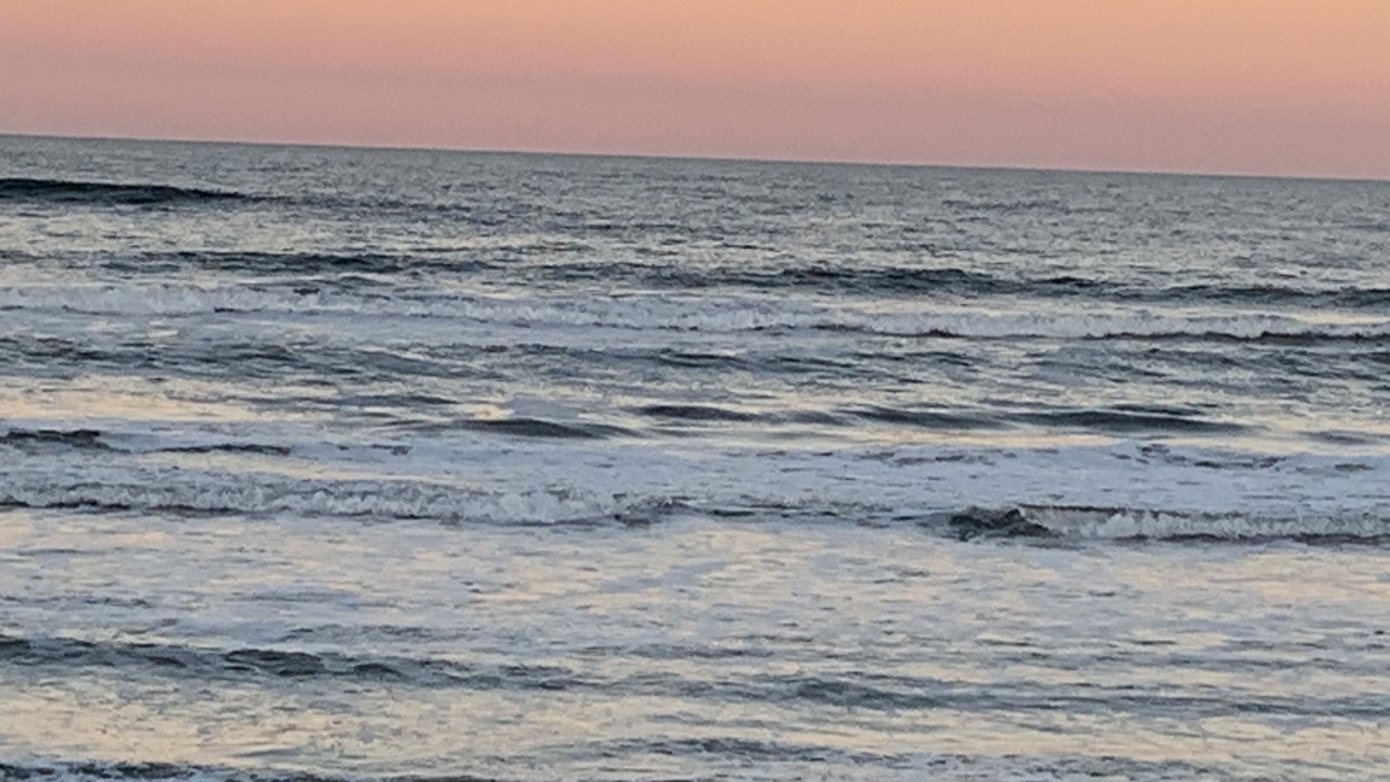 Photo of Others in Point East