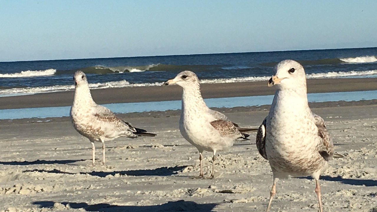 Photo of Others in Point East