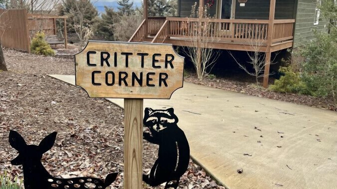 Photo of Outdoor in Bryant