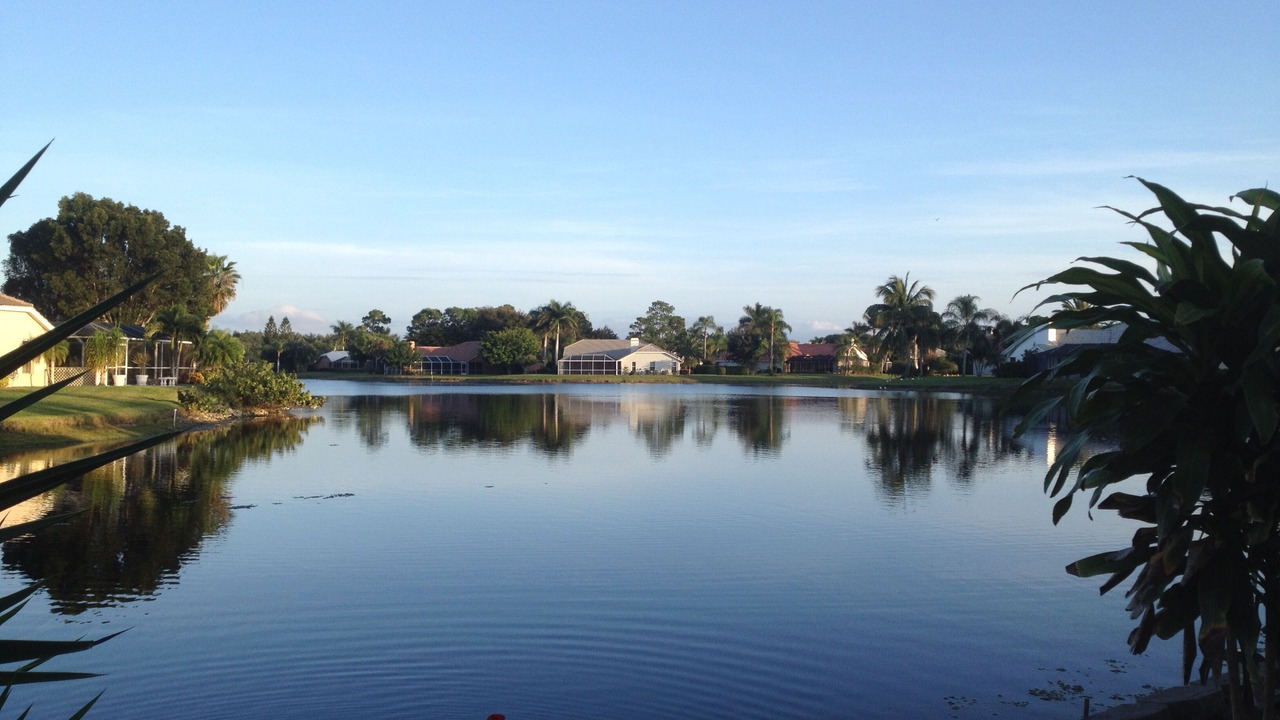 Photo of Others in Bonita Shores