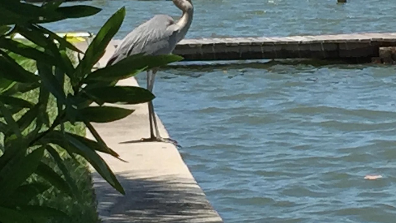 Photo of Others in Redington Shores