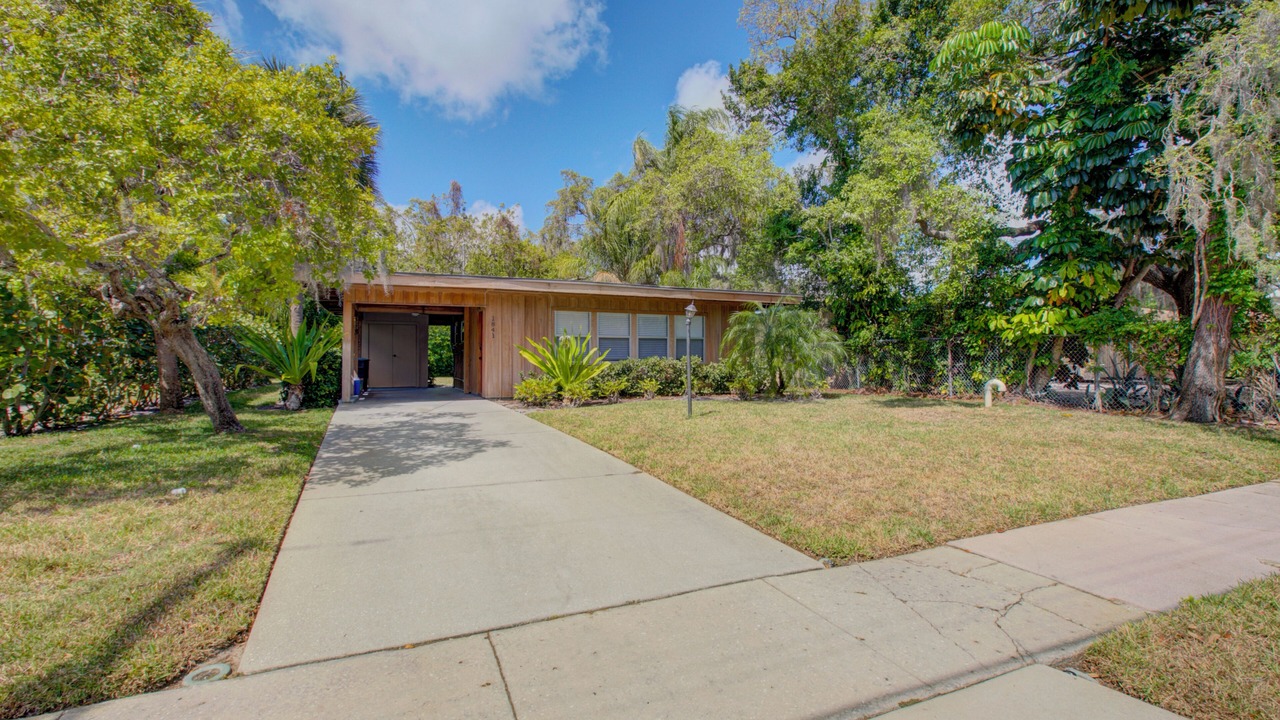 Photo of Outdoor in South Sarasota