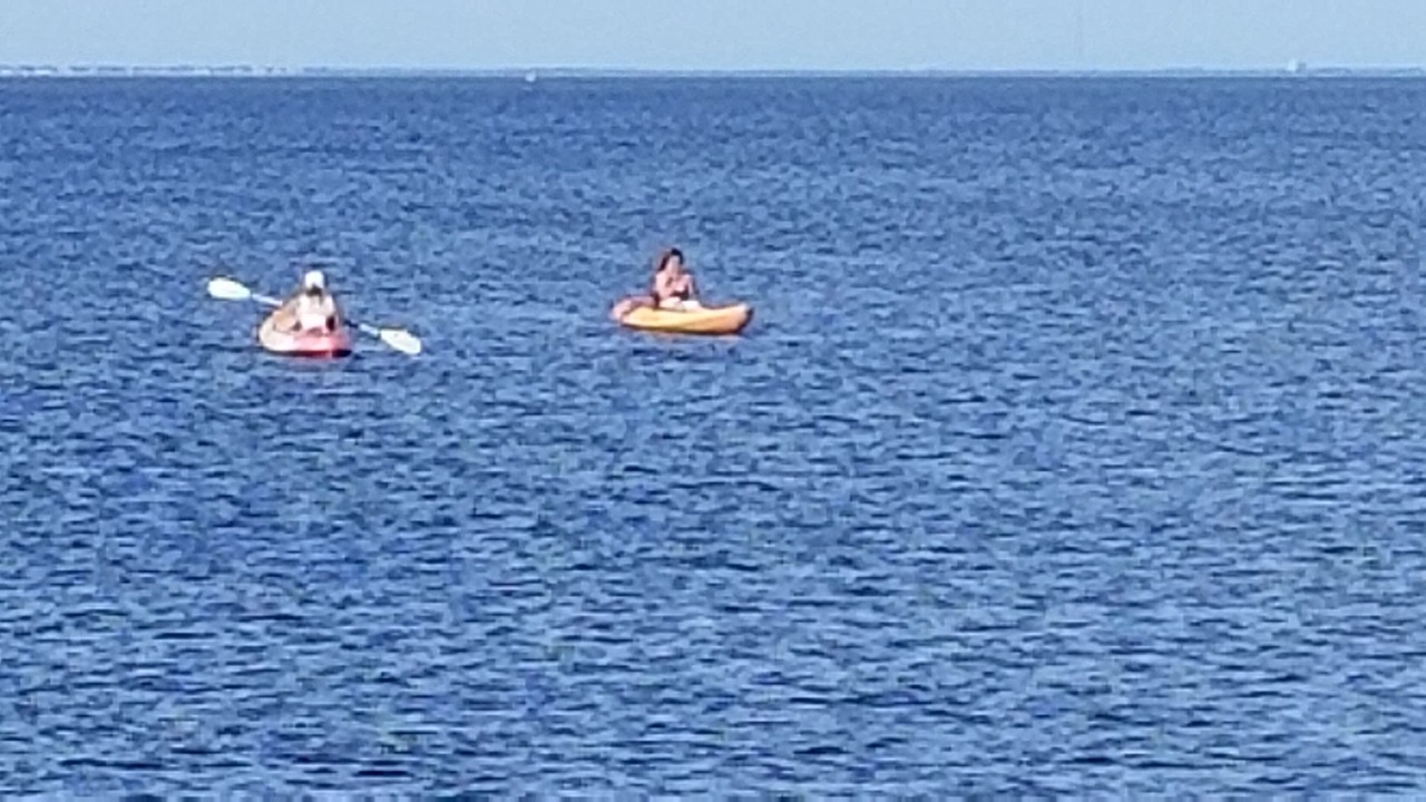 Photo of Others in Ruskin
