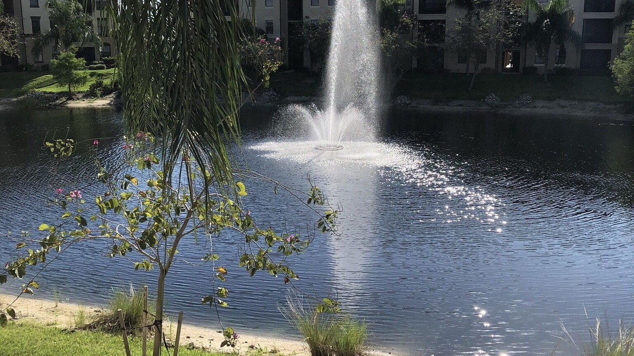 Photo of Outdoor in Naples