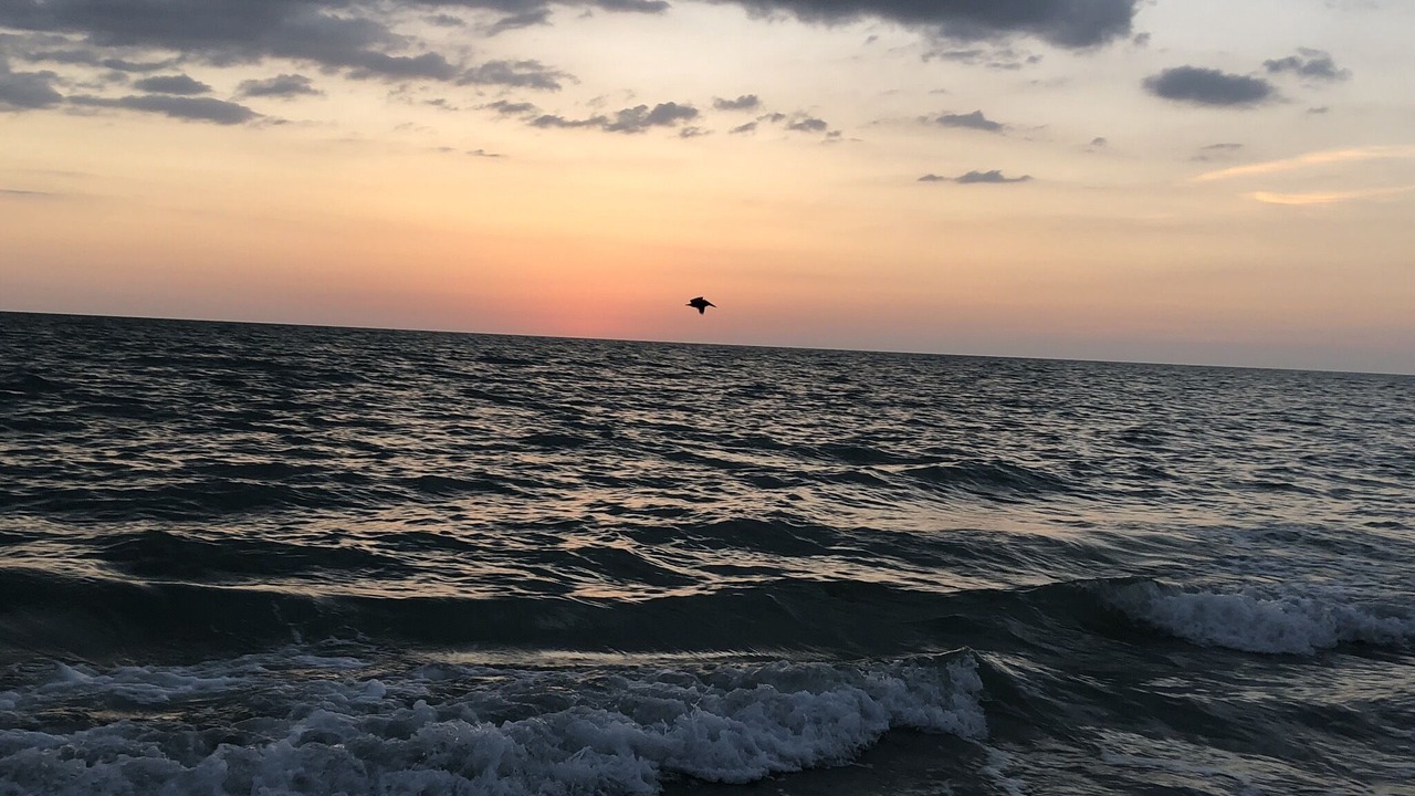Photo of Others in Naples