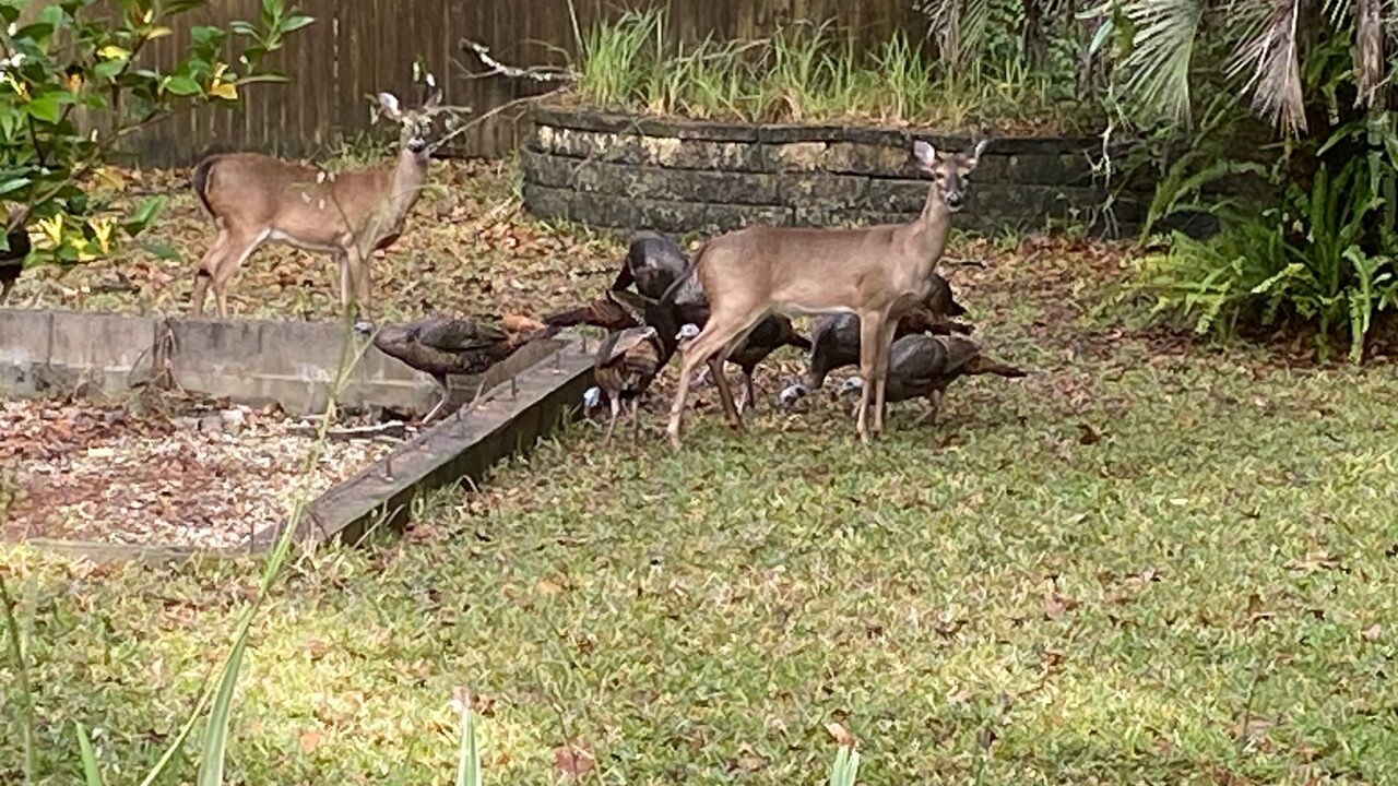Photo of Others in Gainesville