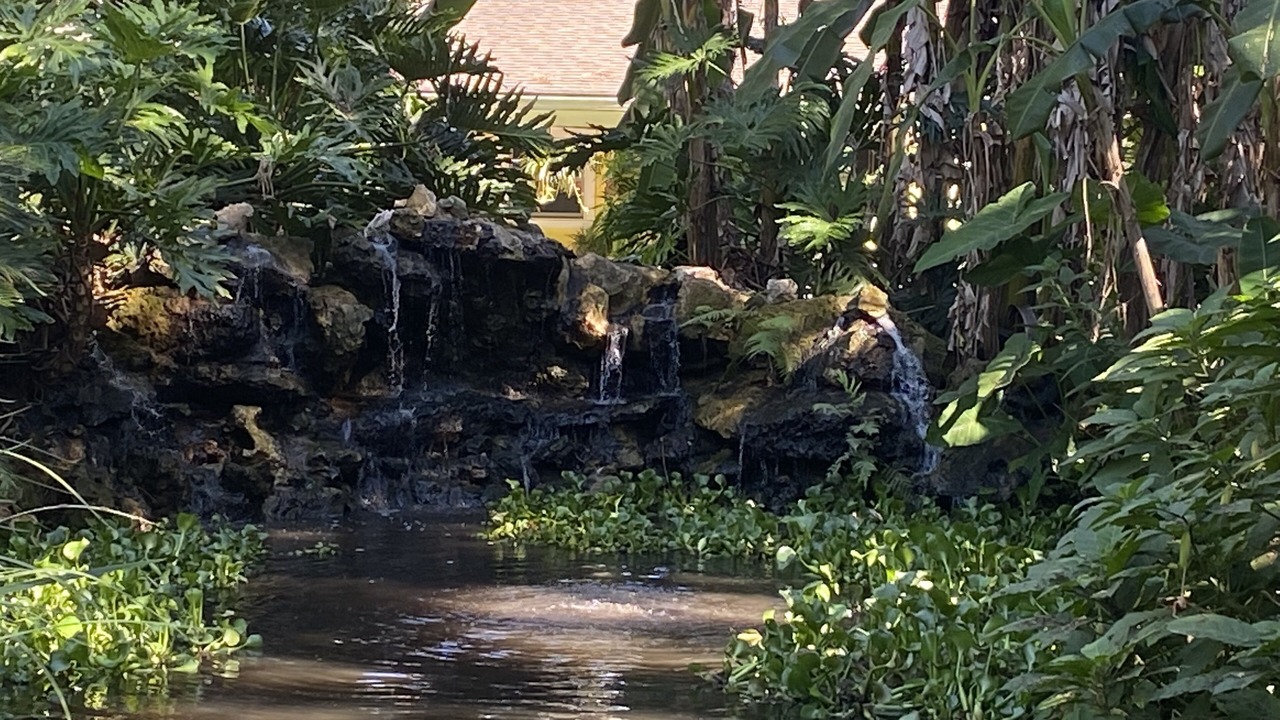 Photo of Outdoor in Gainesville