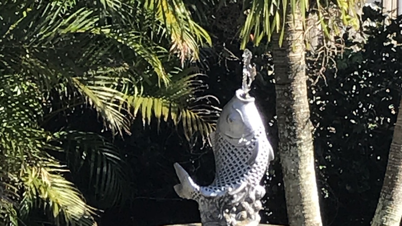 Photo of Outdoor in Fort Myers
