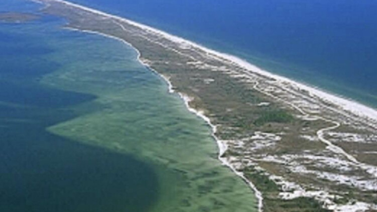 Photo of Outdoor in Apalachicola