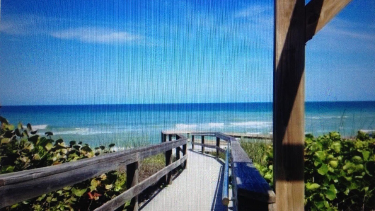 Photo of Others in Barefoot Bay