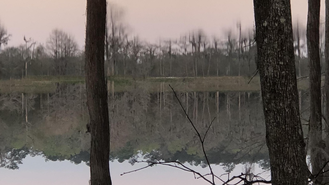 Photo of Outdoor in Chipley