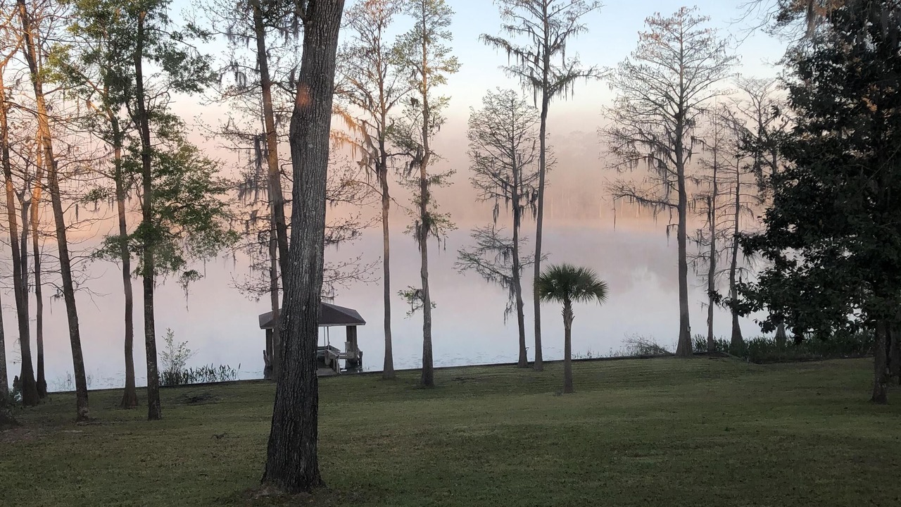 Photo of Outdoor in Chipley