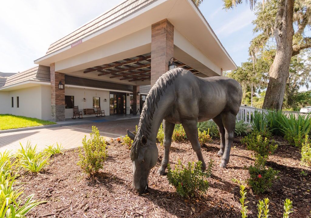 Photo of Outdoor in Ocala