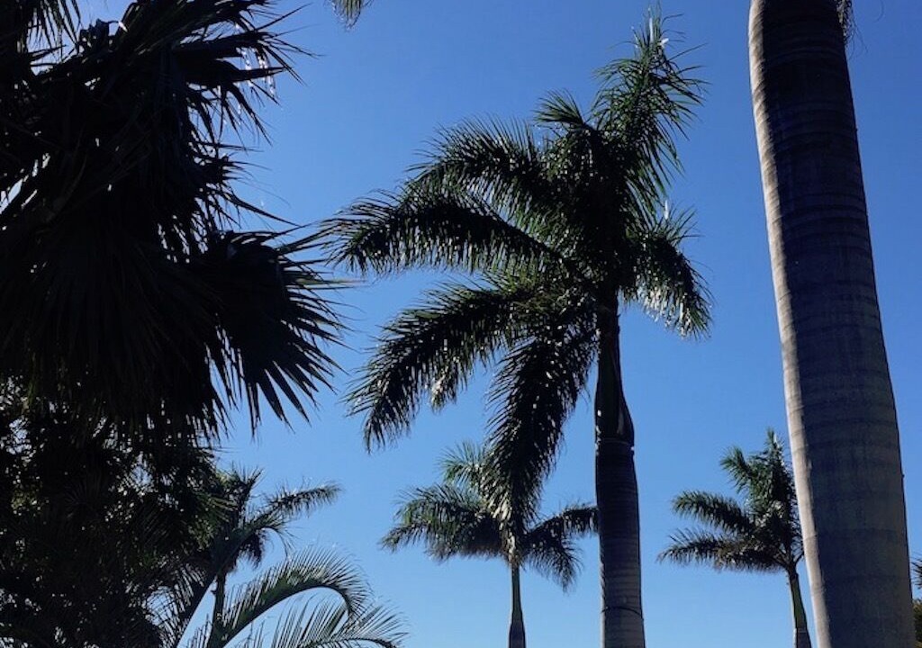 Photo of Others in South Bradenton