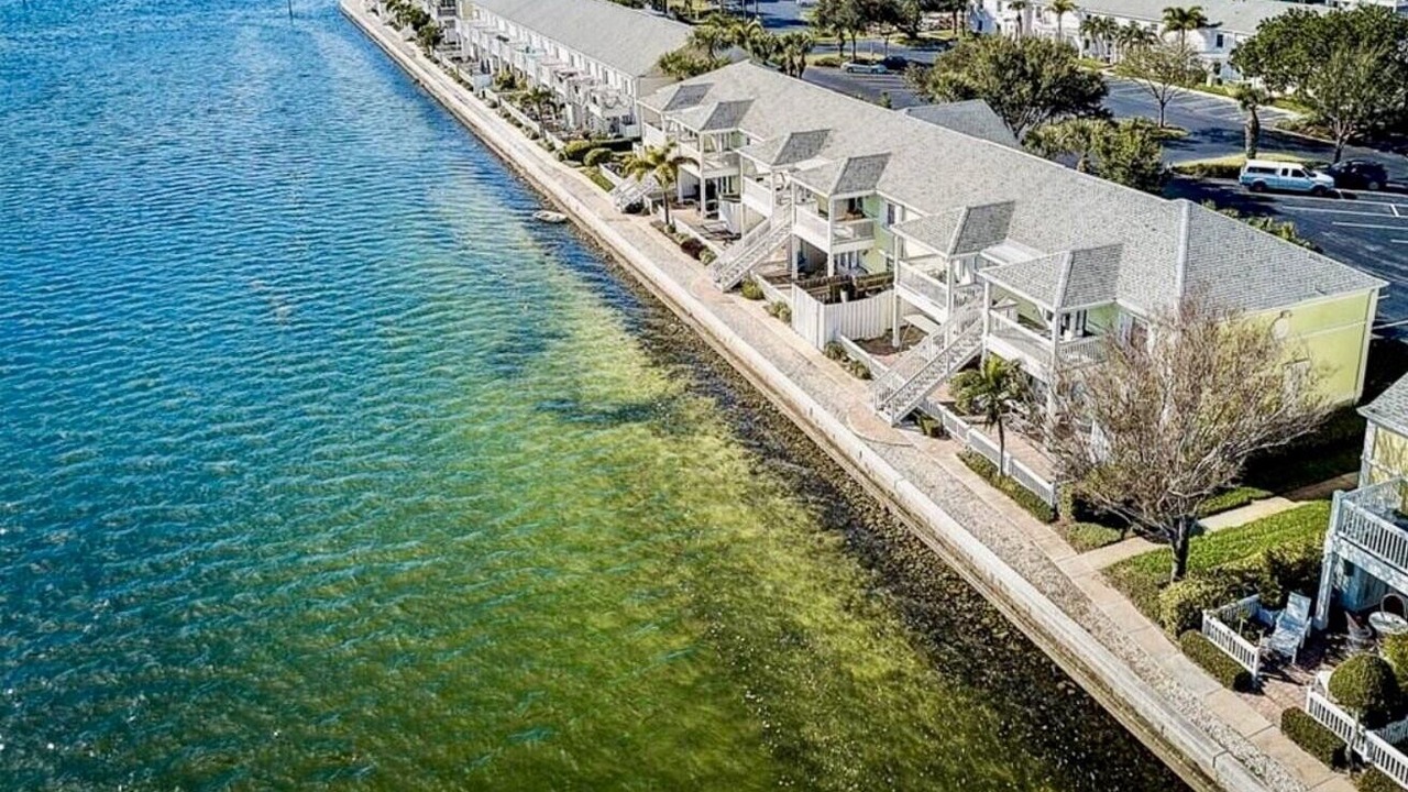 Photo of Others in Coquina Key