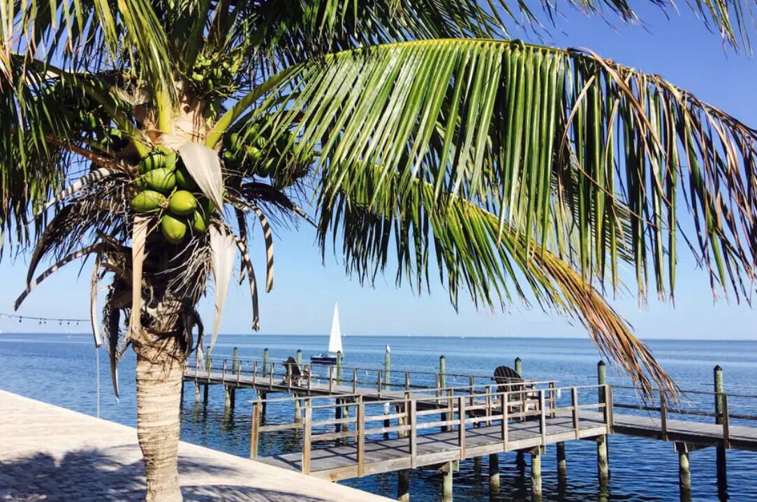 Photo of Others in Coquina Key