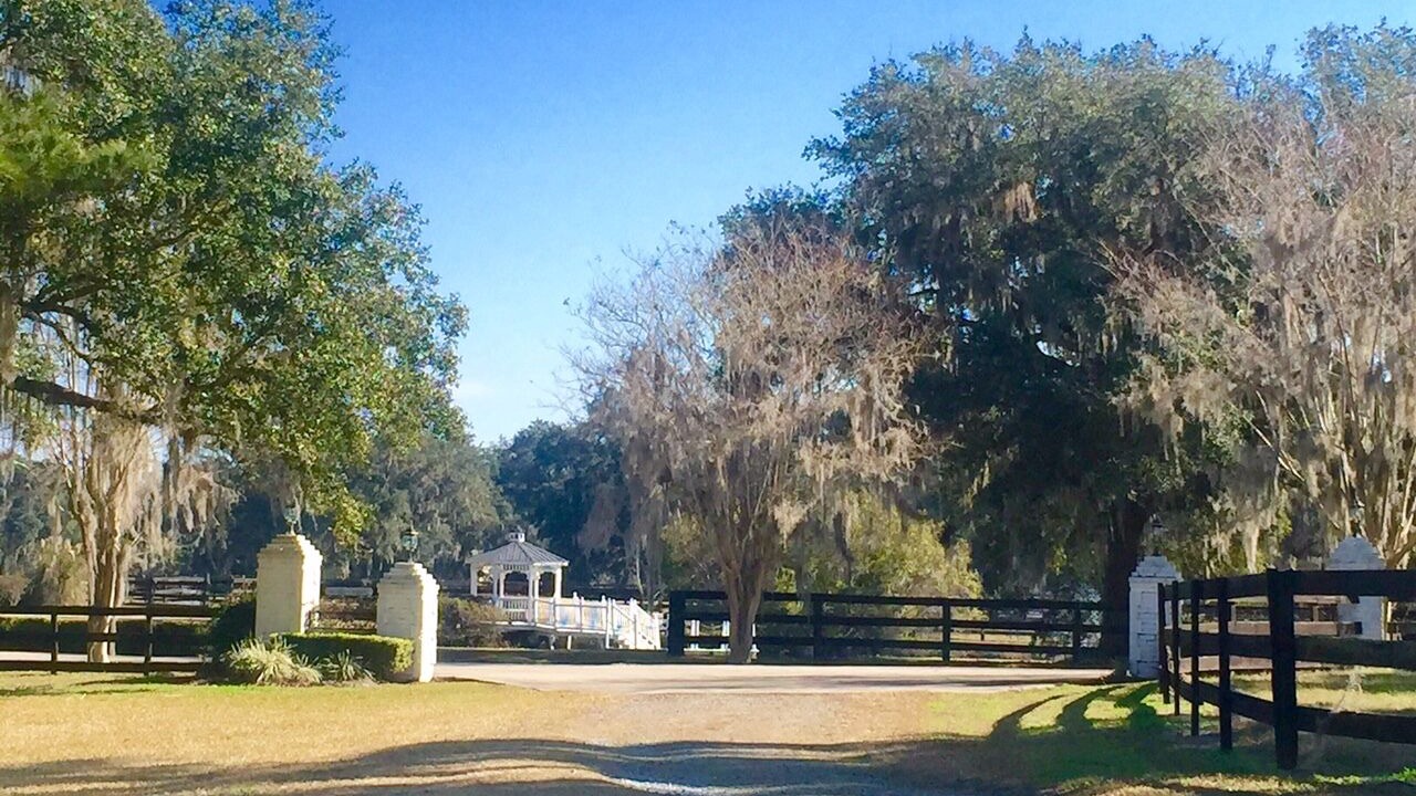 Photo of Outdoor in Reddick