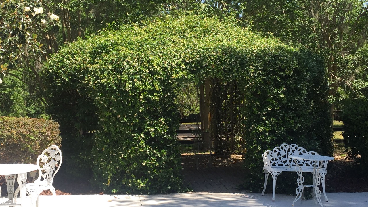 Photo of Outdoor in Reddick