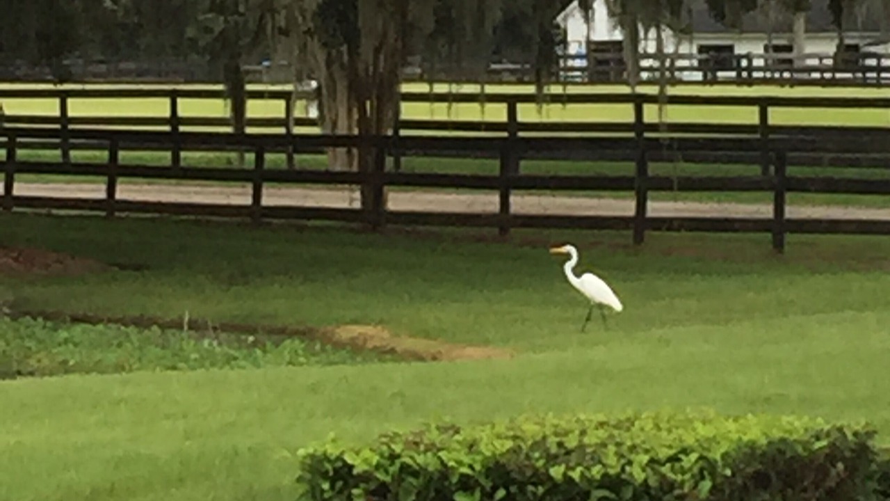 Photo of Outdoor in Reddick