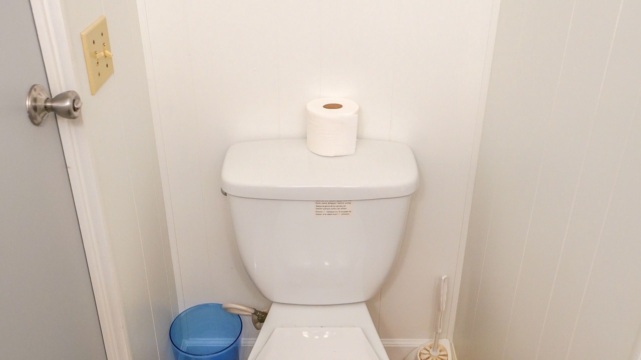 Photo of Bathroom in Dunnellon