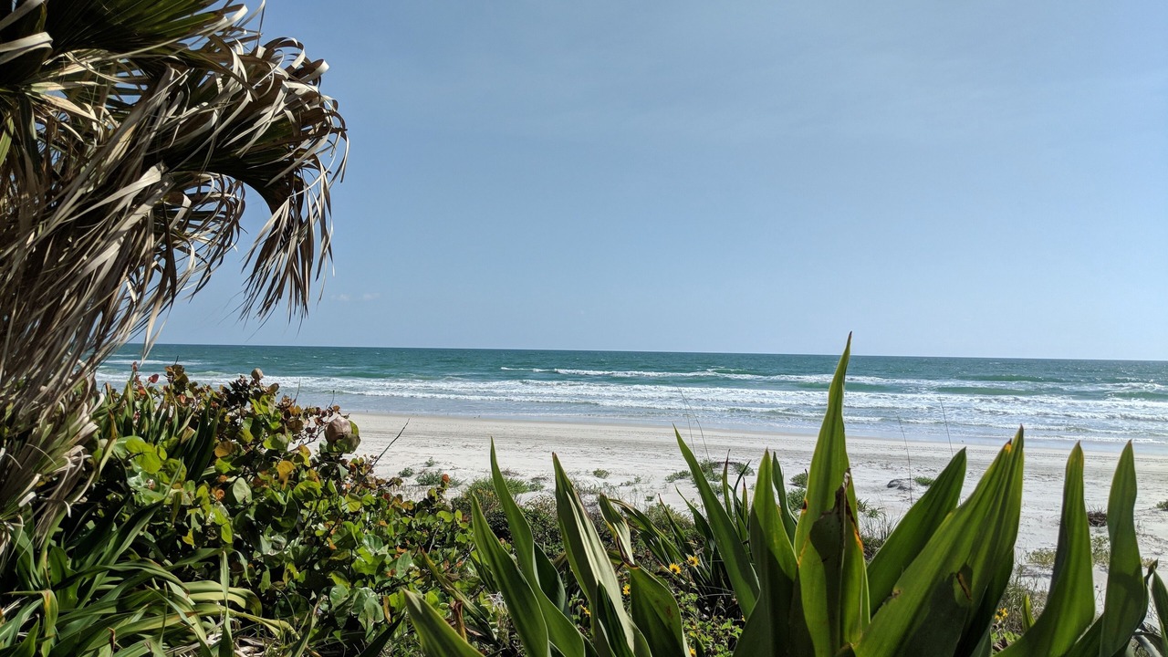 Photo of Others in Ponce Inlet