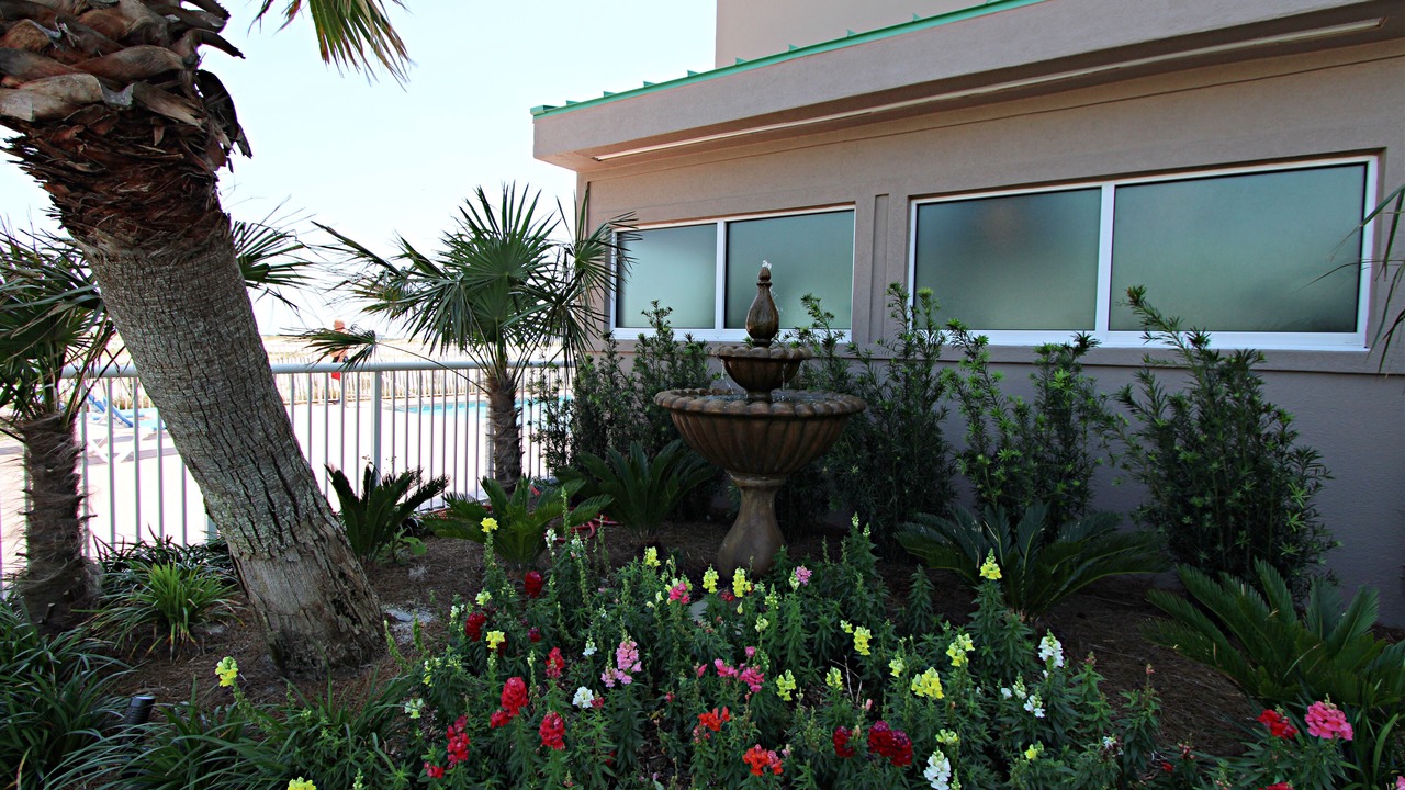 Photo of Outdoor in Ono Island