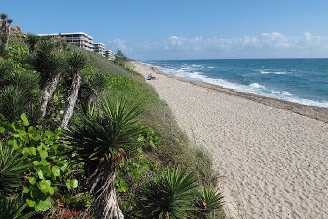 Photo of Outdoor in Lake Worth