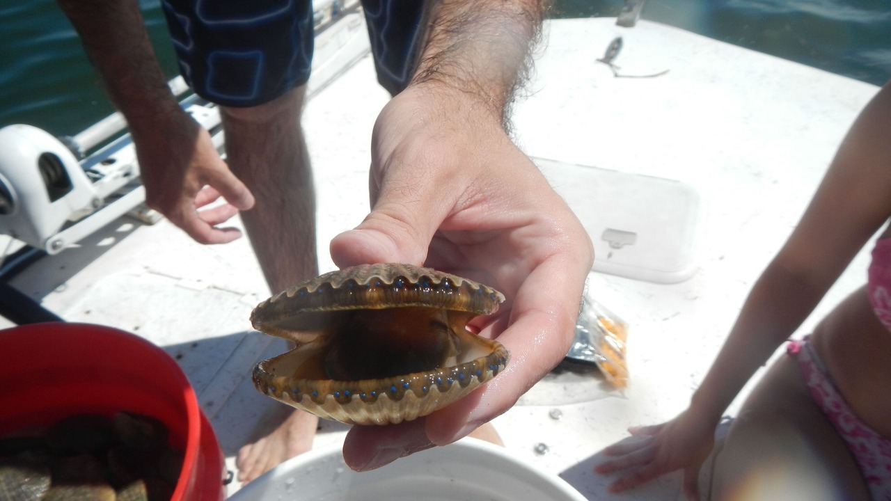 Photo of Others in Dixie Shores