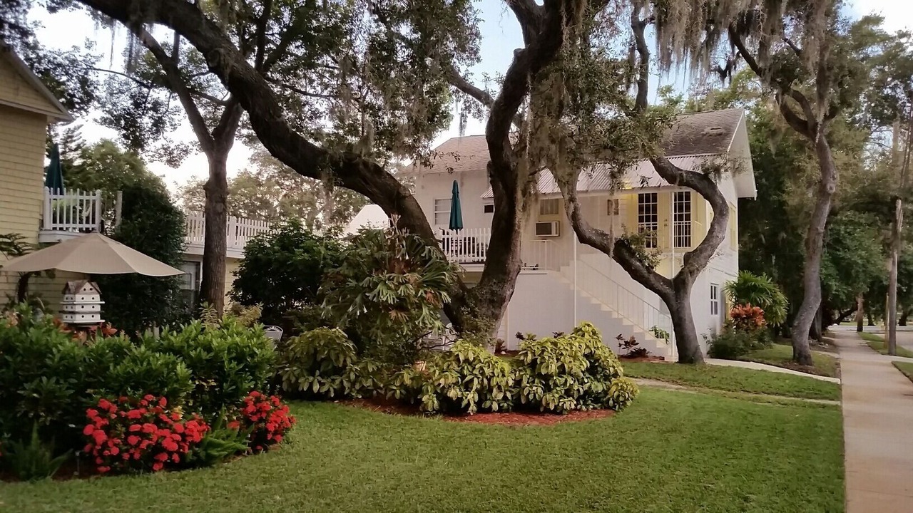 Photo of Outdoor in Tarpon Springs