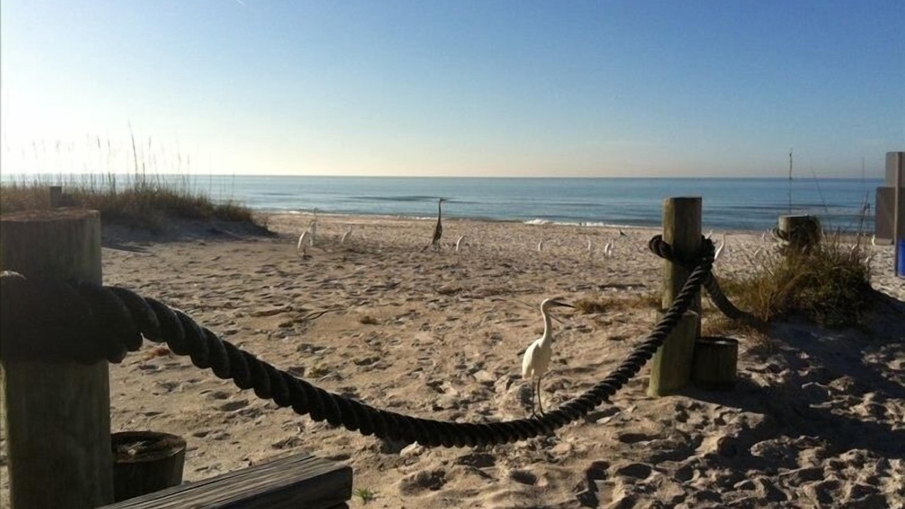 Photo of Others in North Redington Beach