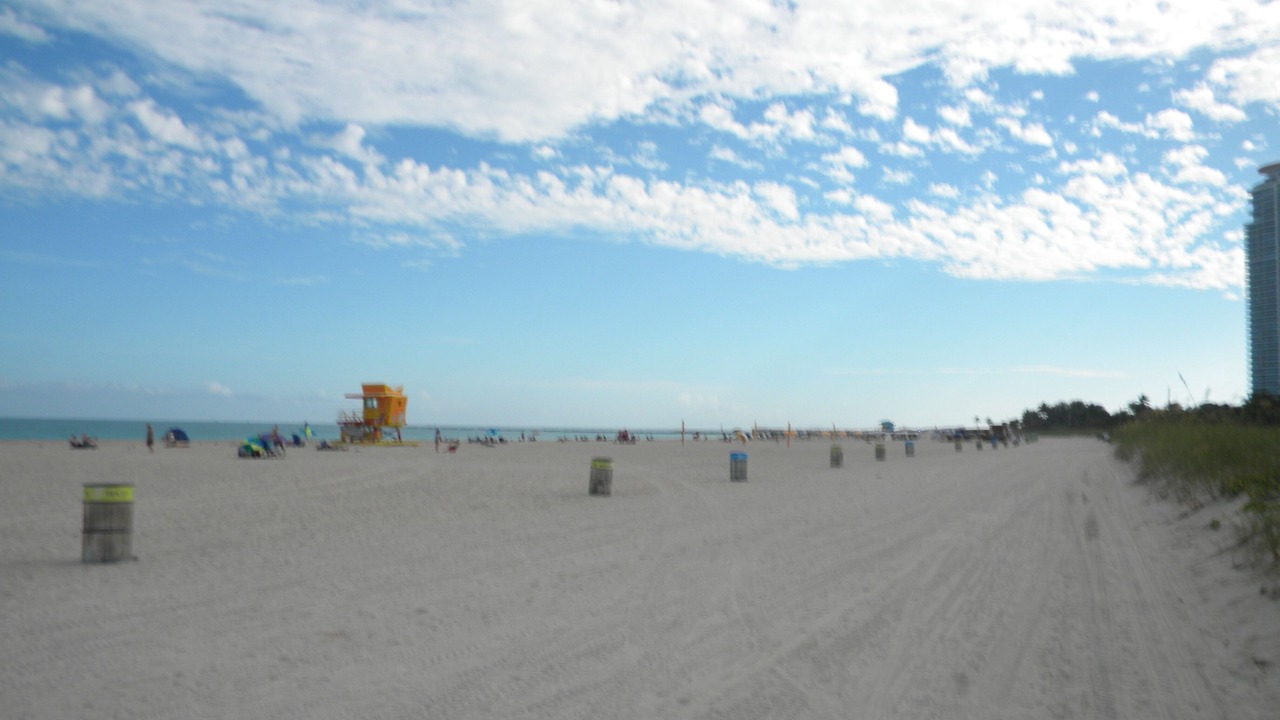 Photo of Others in South of Fifth