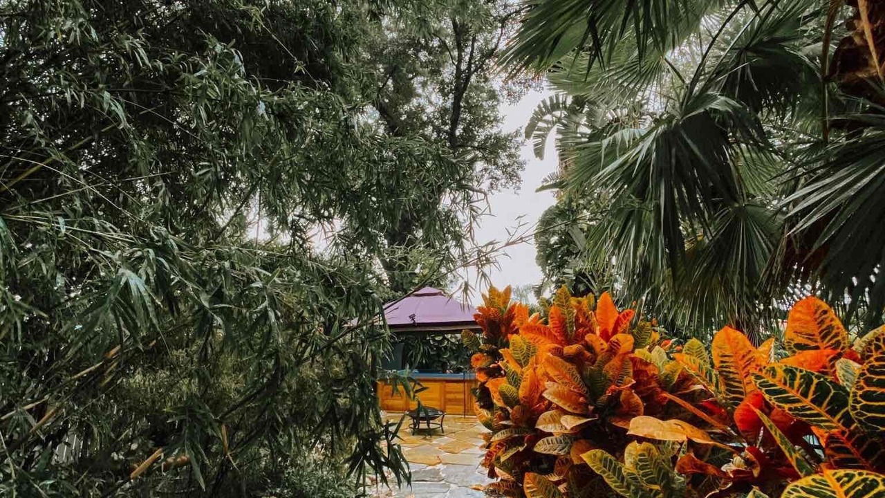 Photo of Outdoor in Dunedin