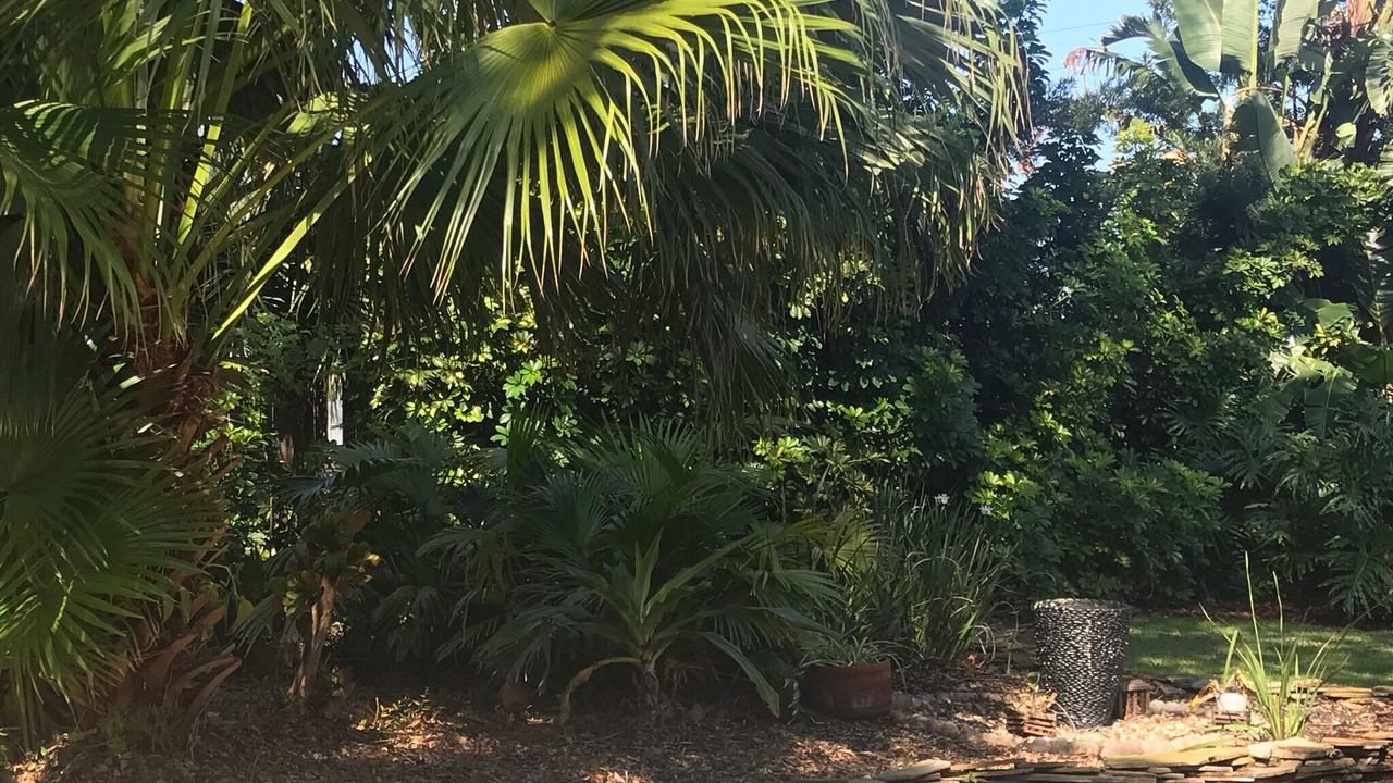 Photo of Outdoor in Dunedin