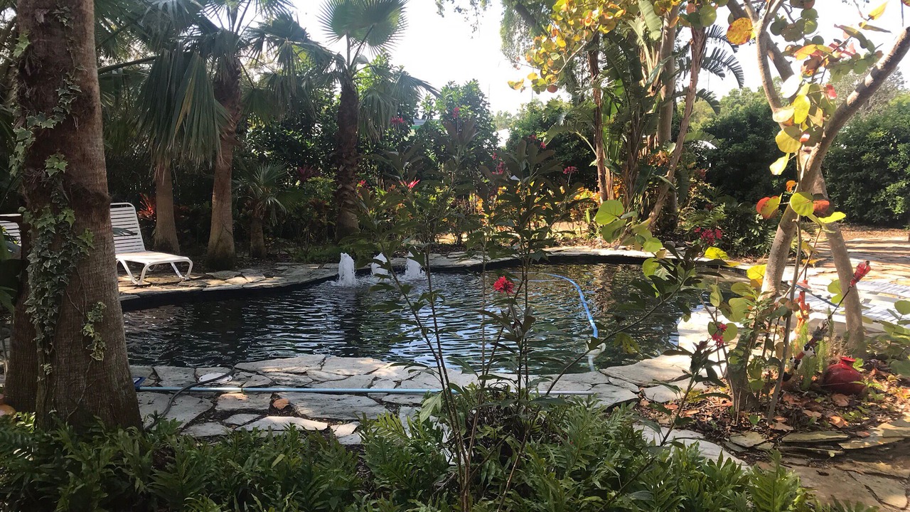 Photo of Outdoor in Dunedin