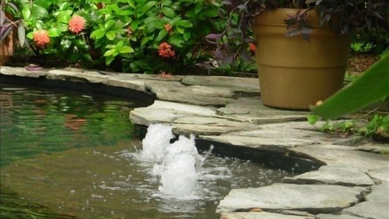 Photo of Outdoor in Dunedin
