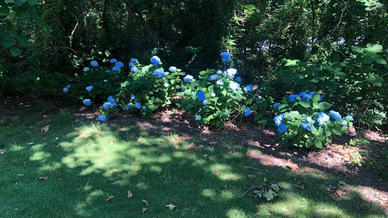 Photo of Others in Montevallo