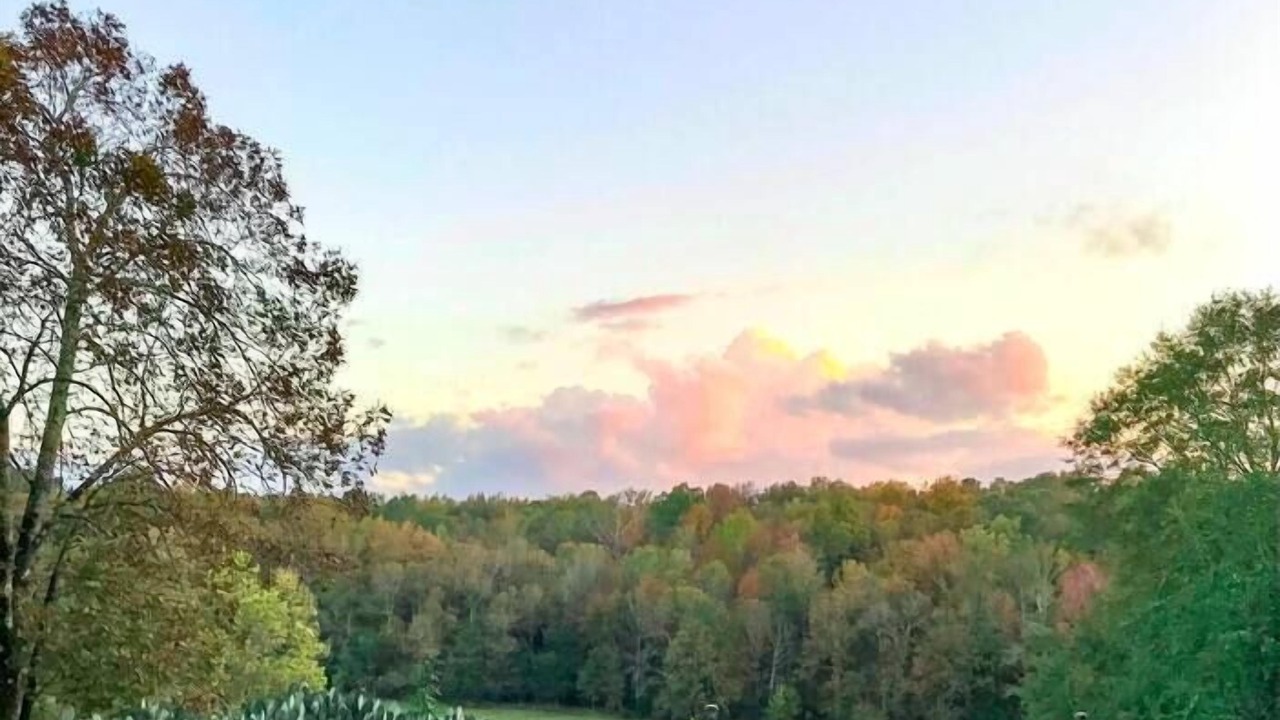 Photo of Outdoor in Montevallo