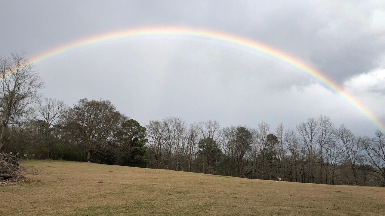 Photo of Others in Montevallo