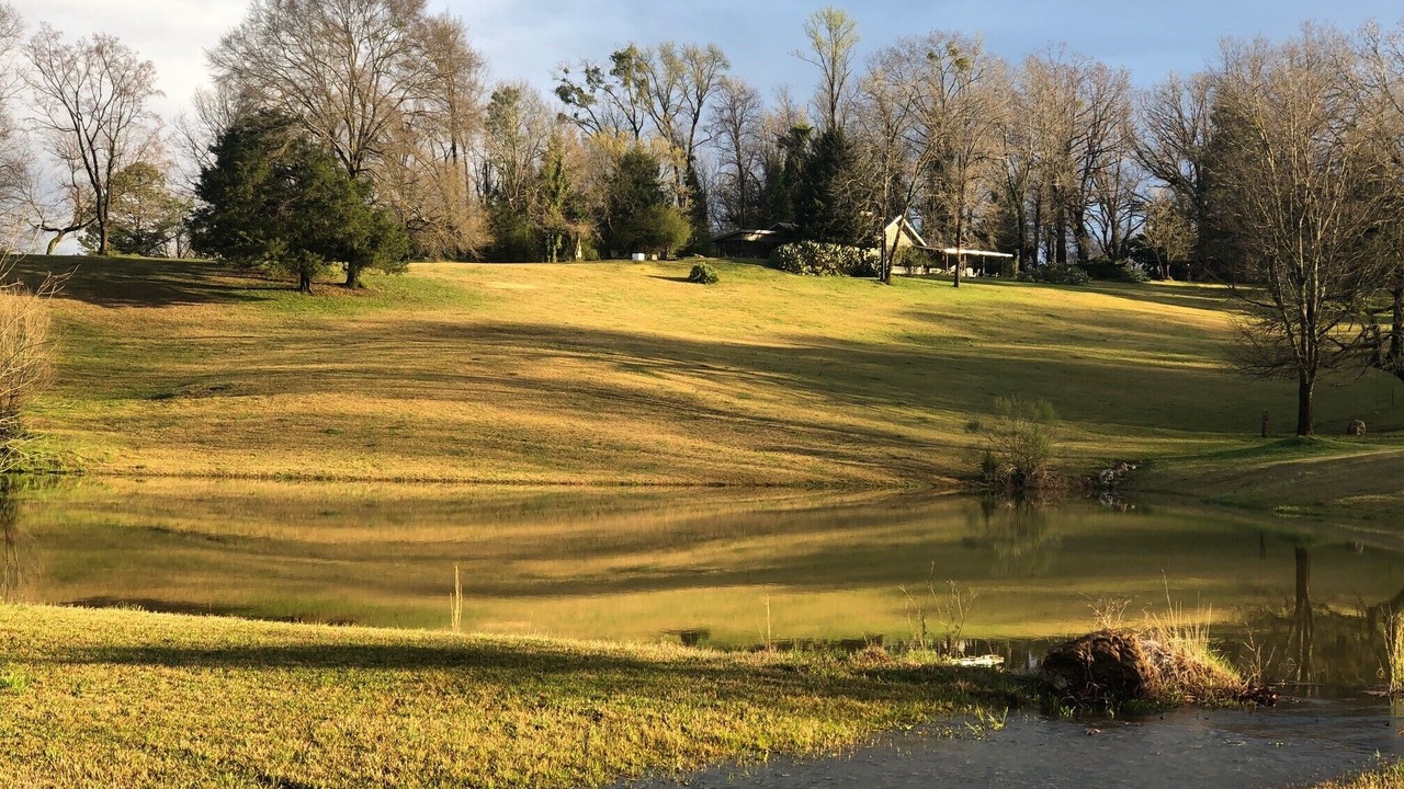 Photo of Others in Montevallo