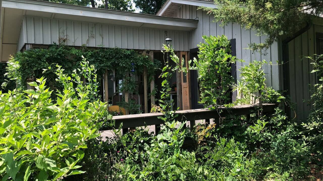 Photo of Outdoor in Montevallo