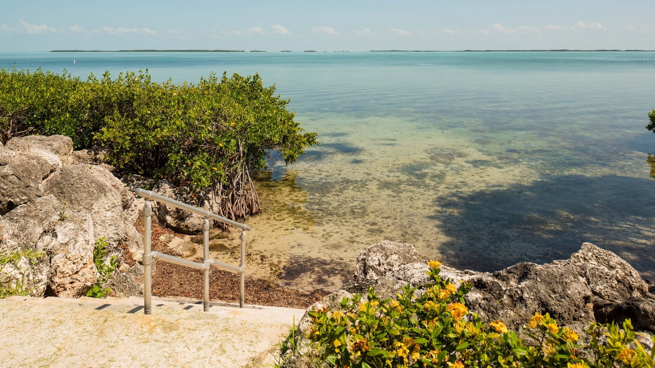 Photo of Others in Key Largo