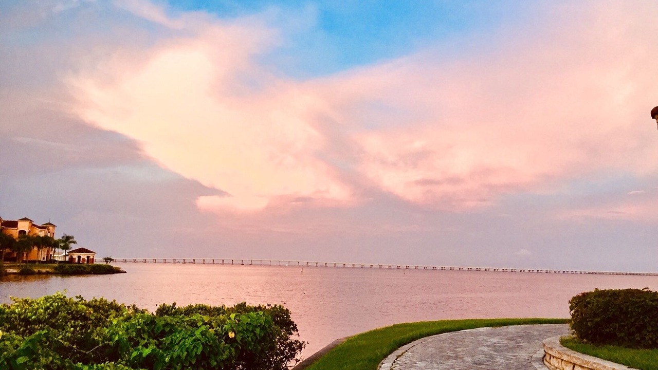 Photo of Others in Clearwater