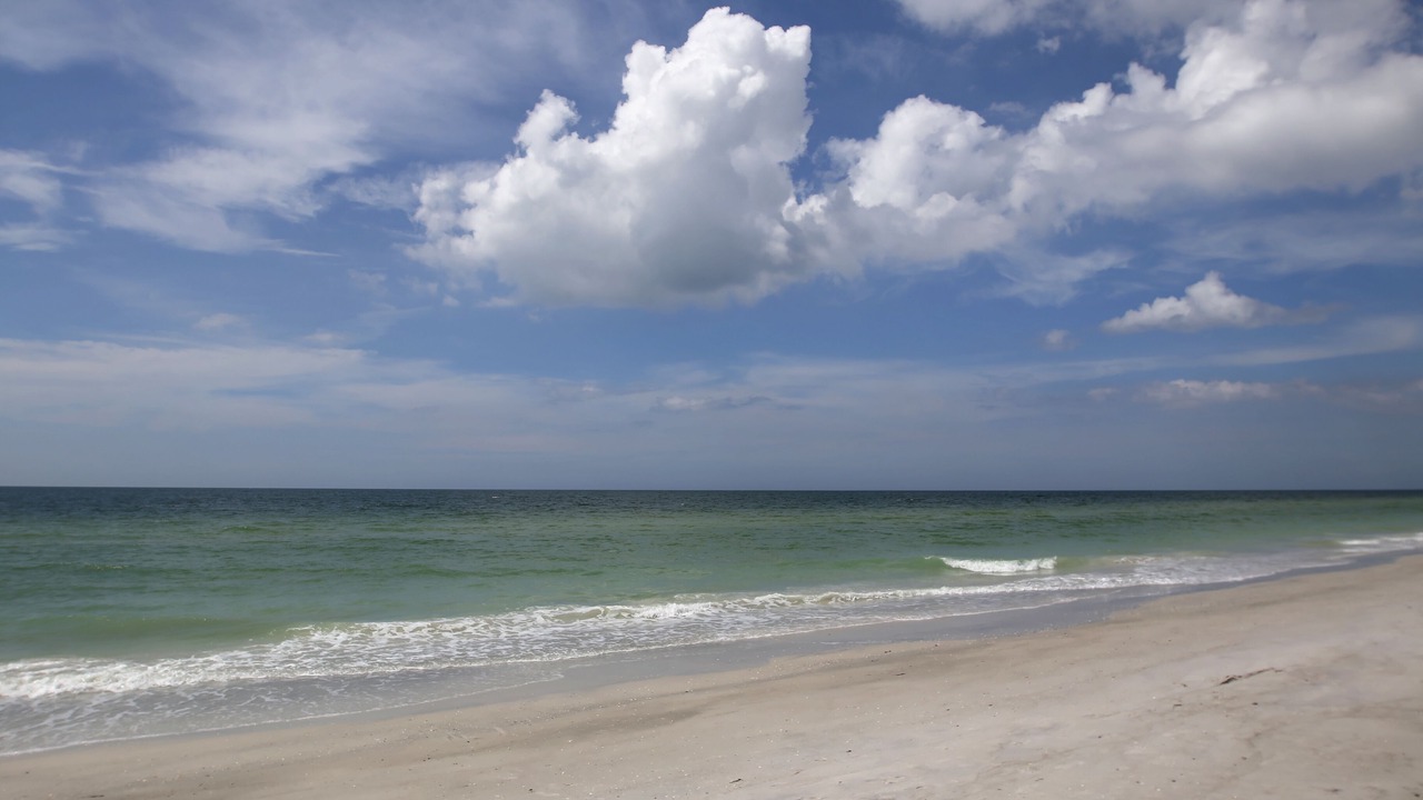 Photo of Others in Belleair Beach